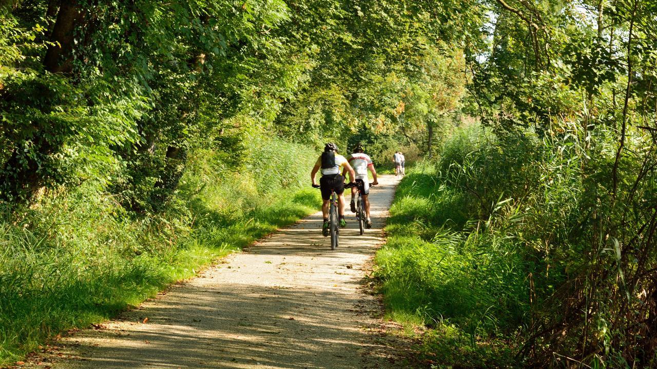 De Vrolijcke Bosmuis Bed and Breakfast Bergeijk Exteriör bild